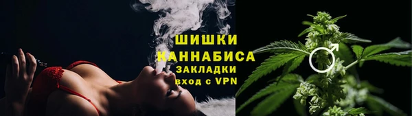 гидропоника Карпинск