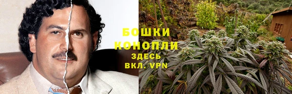 гидропоника Карпинск
