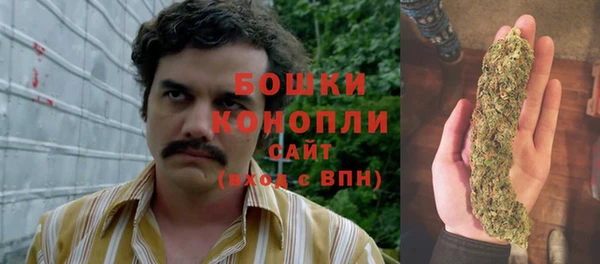 Альфа ПВП Карталы