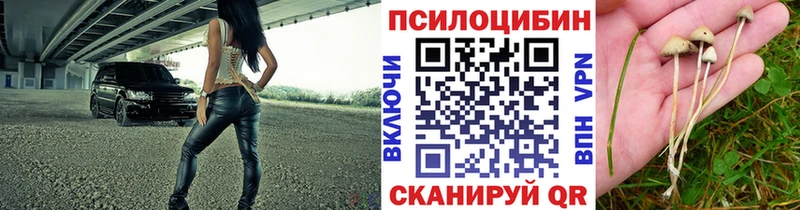 Купить  Богучар  Галлюциногенные грибы ЛСД 